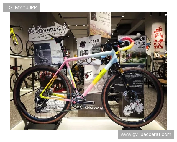 《挑战极限:如何将公路车完美装载到小汽车中》 《挑战极限:如何将公路车完美装载到小汽车中》