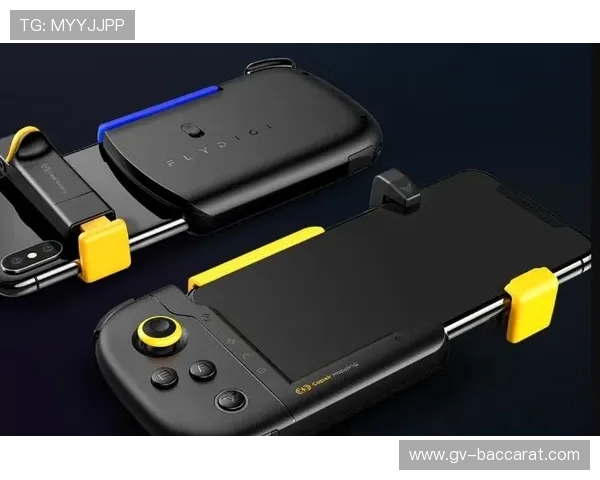 吃鸡王者多款经典游戏截图汇聚探索不同战场的极限对决与刺激体验